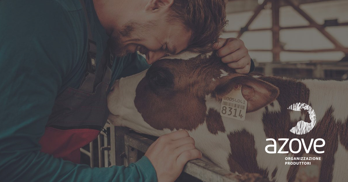 Azove Produttori Carni Bovine Azove